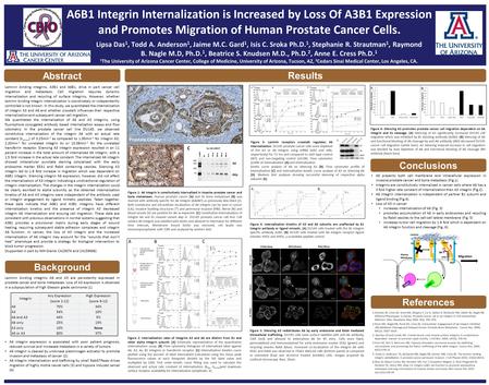 Abstract Laminin binding integrins, A3B1 and A6B1, drive in part cancer cell migration and metastasis. Cell migration requires dynamic internalization.