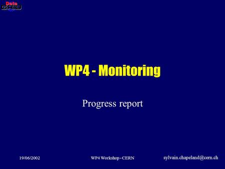 19/06/2002WP4 Workshop - CERN WP4 - Monitoring Progress report
