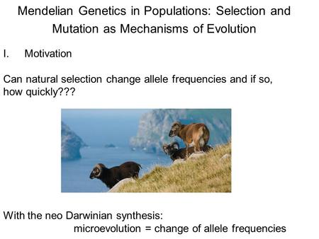 Motivation Can natural selection change allele frequencies and if so,