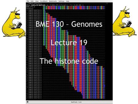 BME 130 – Genomes Lecture 19 The histone code. Figure 7.1 Genomes 3 (© Garland Science 2007)