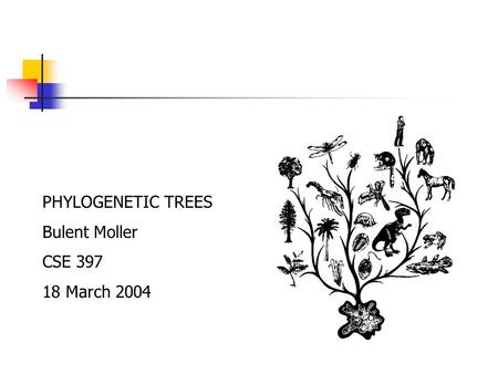 PHYLOGENETIC TREES Bulent Moller CSE 397 18 March 2004.