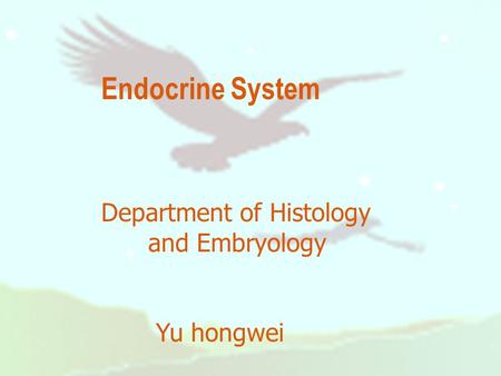 Endocrine System Department of Histology and Embryology Yu hongwei.