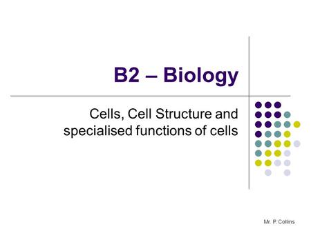 B2 – Biology Cells, Cell Structure and specialised functions of cells Mr. P. Collins.