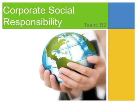 Corporate Social Responsibility Team: B2. Agenda 1.Strategy 2.Introduction 3.Common CSR initiatives 4.Strategic CSR principles 5.CSR categories Social.