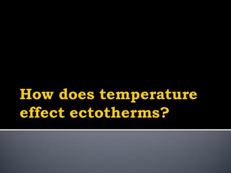  Ectotherms (many are more specifically poikilotherms) utilize heat from their surroundings to increase their body temperature and metabolism.  Once.