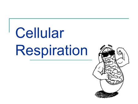 Chapter 9 Notes Cellular Respiration. - ppt video online download