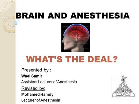 BRAIN AND ANESTHESIA WHAT’S THE DEAL? Presented by : Wael Samir Assistant Lecturer of Anesthesia Revised by: Mohamed Hamdy Lecturer of Anesthesia.