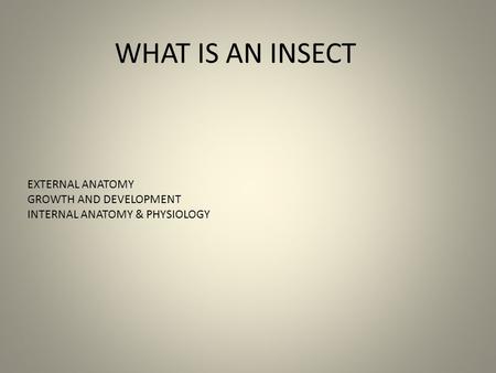 WHAT IS AN INSECT EXTERNAL ANATOMY GROWTH AND DEVELOPMENT INTERNAL ANATOMY & PHYSIOLOGY.