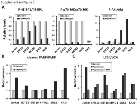P-4E-BP1/4E-BP1P-p70 S6K/p70 S6K ND cleaved PARP/PARPLC3II/LC3I Supplementary Figure 1 Relative levels A BC P-Akt/Akt.