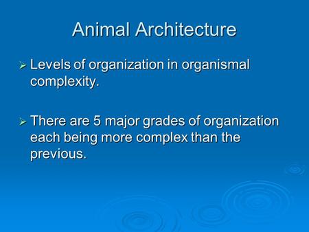 Animal Architecture Levels of organization in organismal complexity.