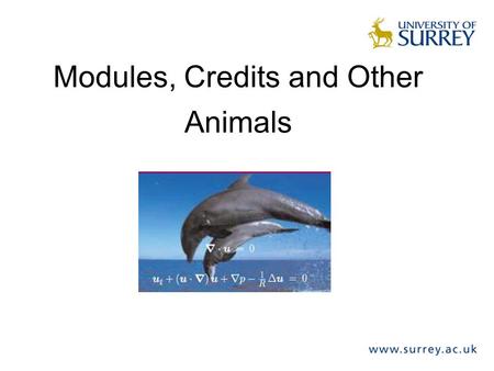 Modules, Credits and Other Animals. Modules & Credits What is a module? –Self-contained assessed period of learning in programme of study –Mixture of.