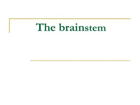 The brainstem.