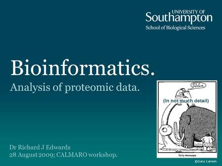 Bioinformatics. Analysis of proteomic data. Dr Richard J Edwards 28 August 2009; CALMARO workshop. ©Gary Larson (In not much detail)