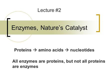 Enzymes, Nature’s Catalyst Lecture #2 Proteins  amino acids  nucleotides All enzymes are proteins, but not all proteins are enzymes.