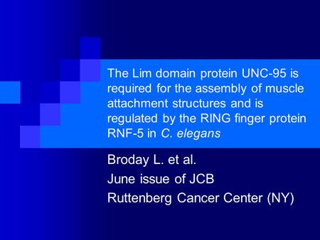 The Lim domain protein UNC-95 is required for the assembly of muscle attachment structures and is regulated by the RING finger protein RNF-5 in C. elegans.