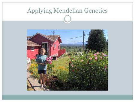 Applying Mendelian Genetics. Meiosis Review by reading pages 84 – 87 and 265 - 271.