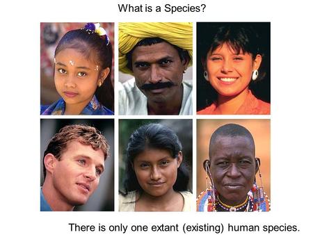 What is a Species? There is only one extant (existing) human species.