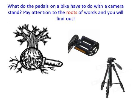 What do the pedals on a bike have to do with a camera stand? Pay attention to the roots of words and you will find out!