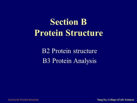 Section B: Protein StructureYang Xu, College of Life Sciences Section B Protein Structure B2 Protein structure B3 Protein Analysis.