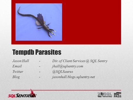 Tempdb Parasites Jason Hall-Dir. of Client SQL Sentry  Blog-jasonhall.blogs.sqlsentry.net.