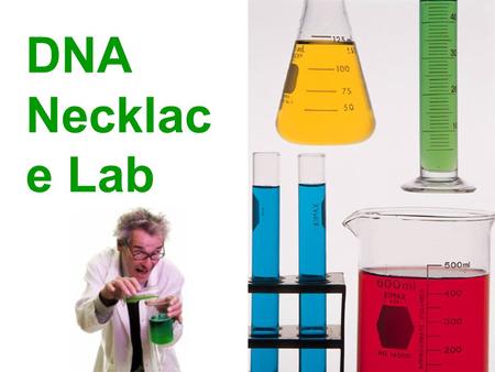 DNA Necklac e Lab. Materials clear sports drink or 0.9% salt water Dixie cup Sharpie marker 15 mL disposable test tube test tube rack microcentrifuge.