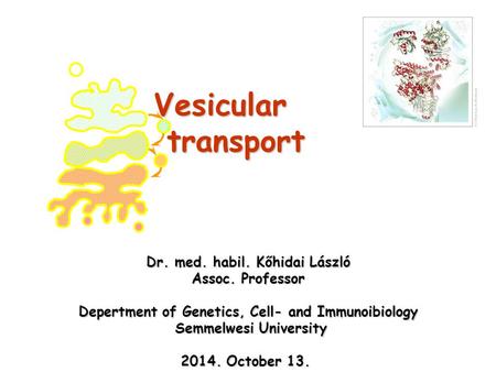 Vesicular transport Dr. med. habil. Kőhidai László Assoc. Professor Depertment of Genetics, Cell- and Immunoibiology Semmelwesi University Semmelwesi University.