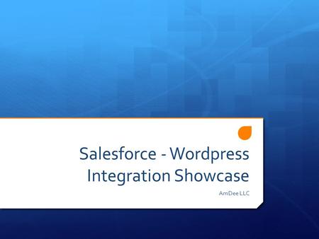 Salesforce - Wordpress Integration Showcase AmDee LLC.