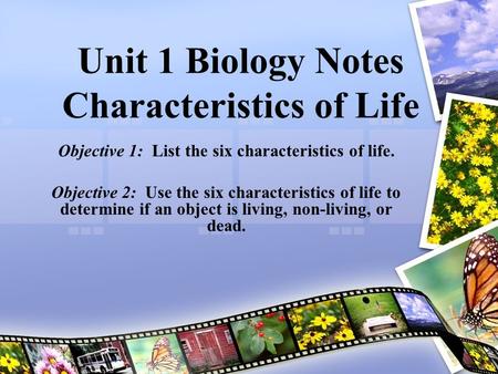 Unit 1 Biology Notes Characteristics of Life