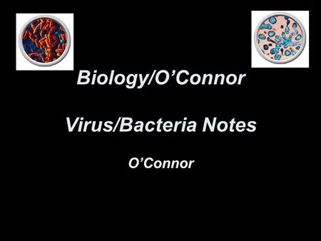 Biology/O’Connor Virus/Bacteria Notes O’Connor. Viruses are named after the disease they cause or by what tissue they infect. Polio.