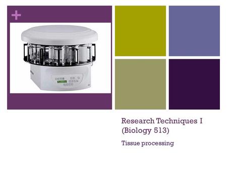 + Research Techniques I (Biology 513) Tissue processing.