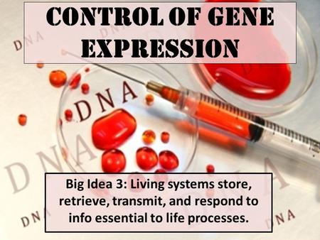 Control of Gene Expression Big Idea 3: Living systems store, retrieve, transmit, and respond to info essential to life processes.