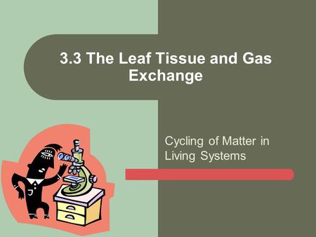 Cycling of Matter in Living Systems 3.3 The Leaf Tissue and Gas Exchange.