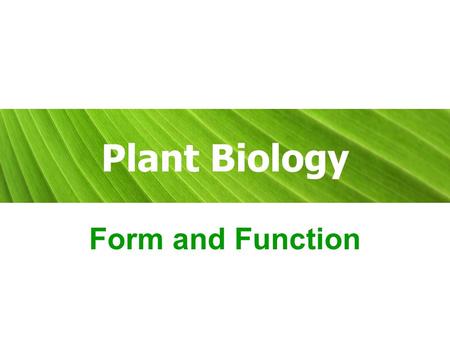 Plant Biology Form and Function.