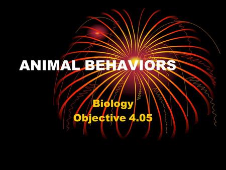 ANIMAL BEHAVIORS Biology Objective 4.05.