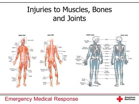 Injuries to Muscles, Bones and Joints