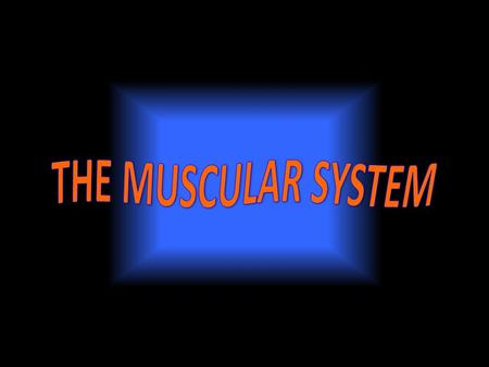 The muscle system helps obtain energy, helps reproduce, helps remove waste, and helps the respiratory system. The muscle system helps….