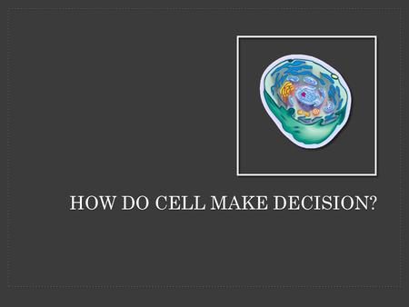 HOW DO CELL MAKE DECISION?. You can jump, run, swim and else. Have you ever wondered how does cell really work?