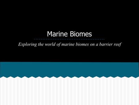 Exploring the world of marine biomes on a barrier reef