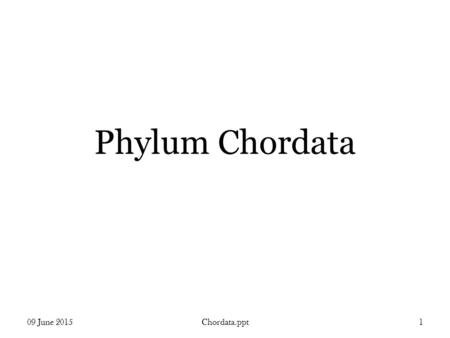 Phylum Chordata 09 June 2015Chordata.ppt1. 09 June 2015Chordata.ppt 2 Phylum Chordata Latin: with a cord, = notochord Notochord Dorsal nerve cord Pharyngeal.