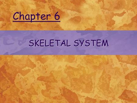 SKELETAL SYSTEM Chapter 6. © 2004 Delmar Learning, a Division of Thomson Learning, Inc.2 FUNCTIONS Supports body structure and provides shape to the body.