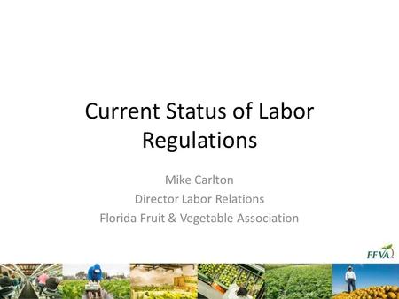 Current Status of Labor Regulations Mike Carlton Director Labor Relations Florida Fruit & Vegetable Association.