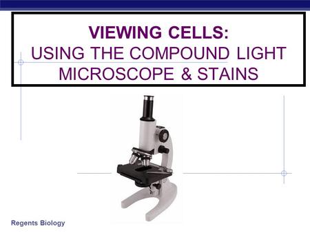 VIEWING CELLS: USING THE COMPOUND LIGHT MICROSCOPE & STAINS