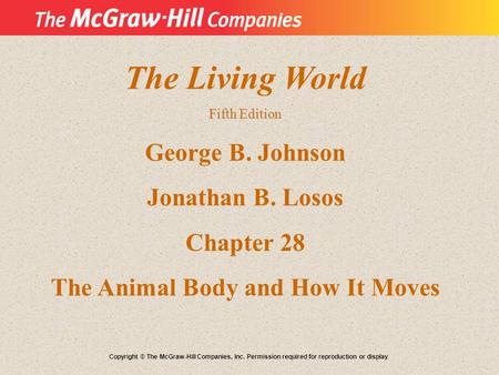 The Living World Fifth Edition George B. Johnson Jonathan B. Losos Chapter 28 The Animal Body and How It Moves Copyright © The McGraw-Hill Companies, Inc.