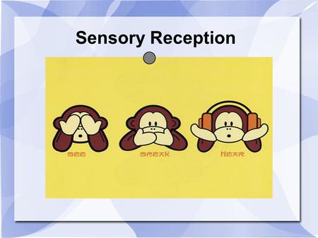 Sensory Reception. How you sense. Sensory Receptors – nerve endings that gather sensory information Sensation – when neural impulses arrive at cerebral.