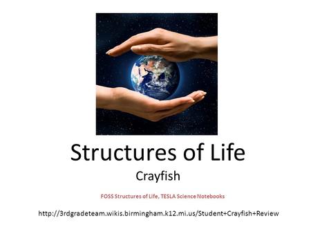 Structures of Life Crayfish FOSS Structures of Life, TESLA Science Notebooks