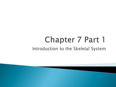 Introduction to the Skeletal System.  Support: Bones support the weight of the body and structures such as the head and face  Protection: Bones protect.