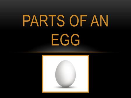 Parts of an Egg.