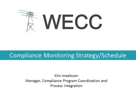 Compliance Monitoring Strategy/Schedule Kim Israelsson Manager, Compliance Program Coordination and Process Integration.