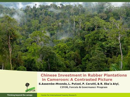 Chinese Investment in Rubber Plantations in Cameroon: A Contrasted Picture S.Assembe-Mvondo, L. Putzel, P. Cerutti, & R. Eba’a Atyi, CIFOR, Forests & Governance.