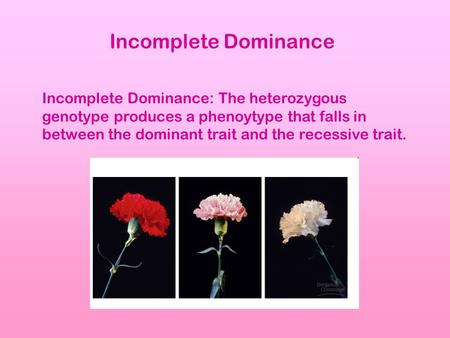 Incomplete Dominance Incomplete Dominance: The heterozygous genotype produces a phenoytype that falls in between the dominant trait and the recessive trait.